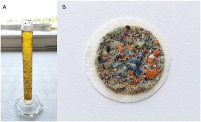 Transfer of Additive Chemicals From Marine Plastic Debris to the Stomach Oil of Northern Fulmars